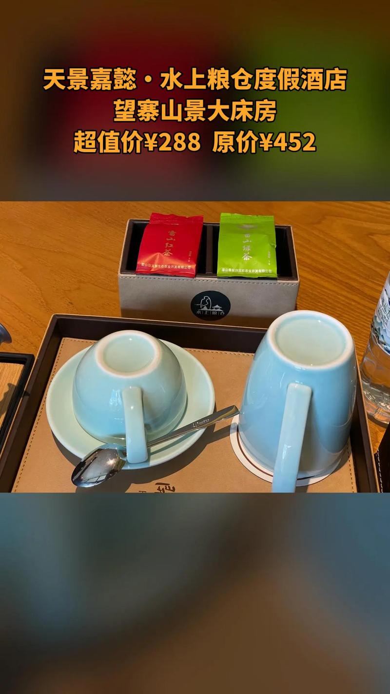 探秘天景嘉懿·水上粮仓度假酒店 望寨山景大床房限时抢购，与射线防护安全同行